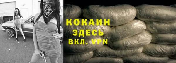 шишки Беломорск