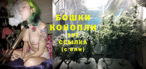 шишки Беломорск