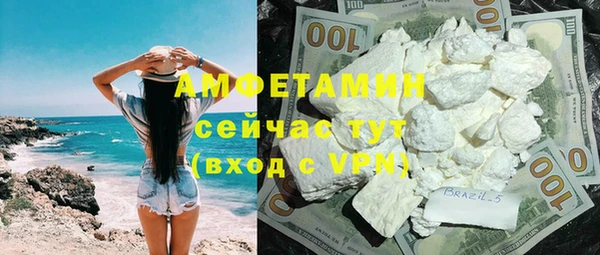 ГАЛЛЮЦИНОГЕННЫЕ ГРИБЫ Богданович