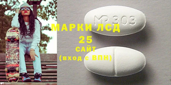 ГАЛЛЮЦИНОГЕННЫЕ ГРИБЫ Богданович
