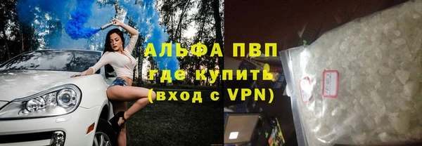 ГАЛЛЮЦИНОГЕННЫЕ ГРИБЫ Богданович