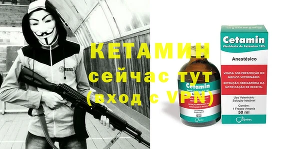 шишки Беломорск