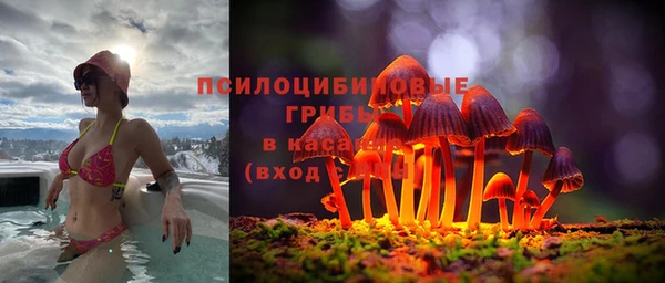 шишки Беломорск