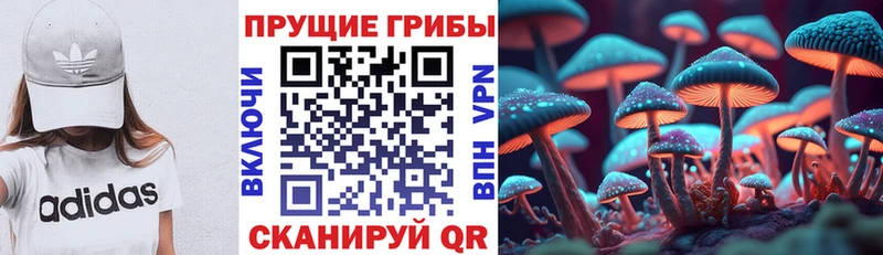 mega ссылки  Валуйки  Галлюциногенные грибы Psilocybe 